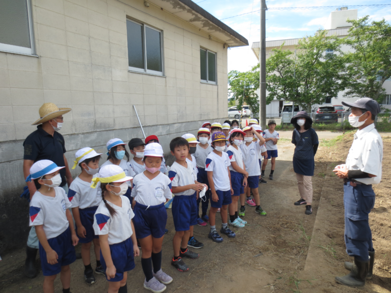 3年生 大根の種まきをしました 鯖江市鳥羽小学校 3年生 大根の種まきをしました 鯖江市鳥羽小学校