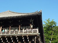 p1160464.jpg